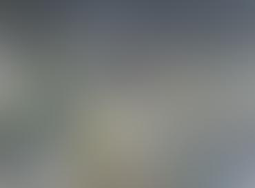 My Portfolio